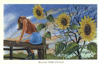 Eyalet Çiçeği, Kansas, Kartpostal