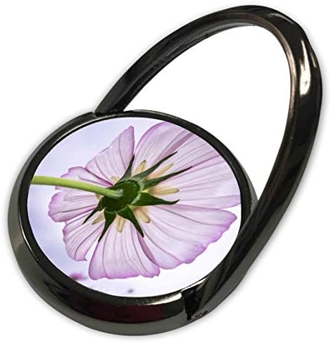 Florene'den 3dRose Lens Sanatı-Çiçek Öne Çıkanları-Menekşe Kozmos Çiçeğinin Makro Görüntüsünün Görüntüsü-Telefon Halkası