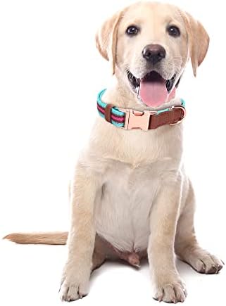 Köpek Tasması Yansıtıcı, Çok Renkli Şerit Köpek Tasması, Küçük Orta Büyük Köpekler için Metal Tokalı Yumuşak Ayarlanabilir