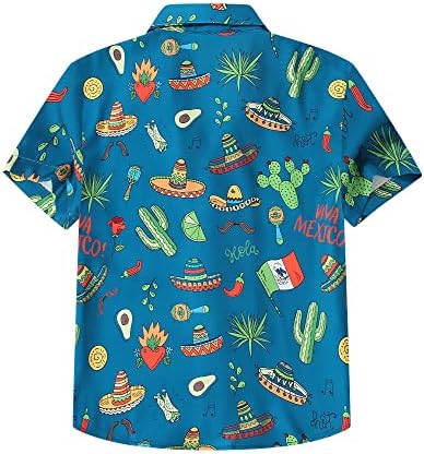 MCEDAR Mens & Boys Komik Hawaiian Gömlek Kısa Kollu Düğme Aşağı Yenilik Tropikal Aloha Gömlek Büyük ve Uzun Boylu