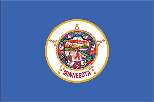 Minnesota Eyalet Bayrağı Sticker Araba Çıkartması TAMPON çıkartması Kamyon Pencere MN