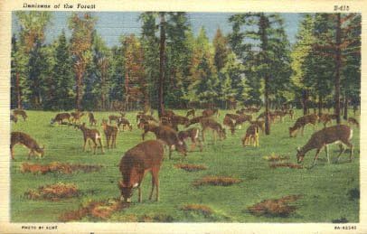 Çeşitli, Michigan Kartpostalı