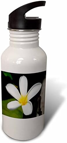 3dRose Tek Beyaz Tropikal Plumeria Çiçeği Yakın Çekim-Su Şişeleri (wb-374172-2)