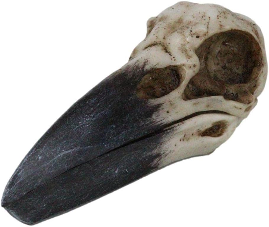 SÜPER BİNGO Ev Aksan Hediye Kötü Alametler Büyücülük Gotik Raven Crow Kafatası Mücevher Kutusu Heykelcik-Ev Dekorasyon